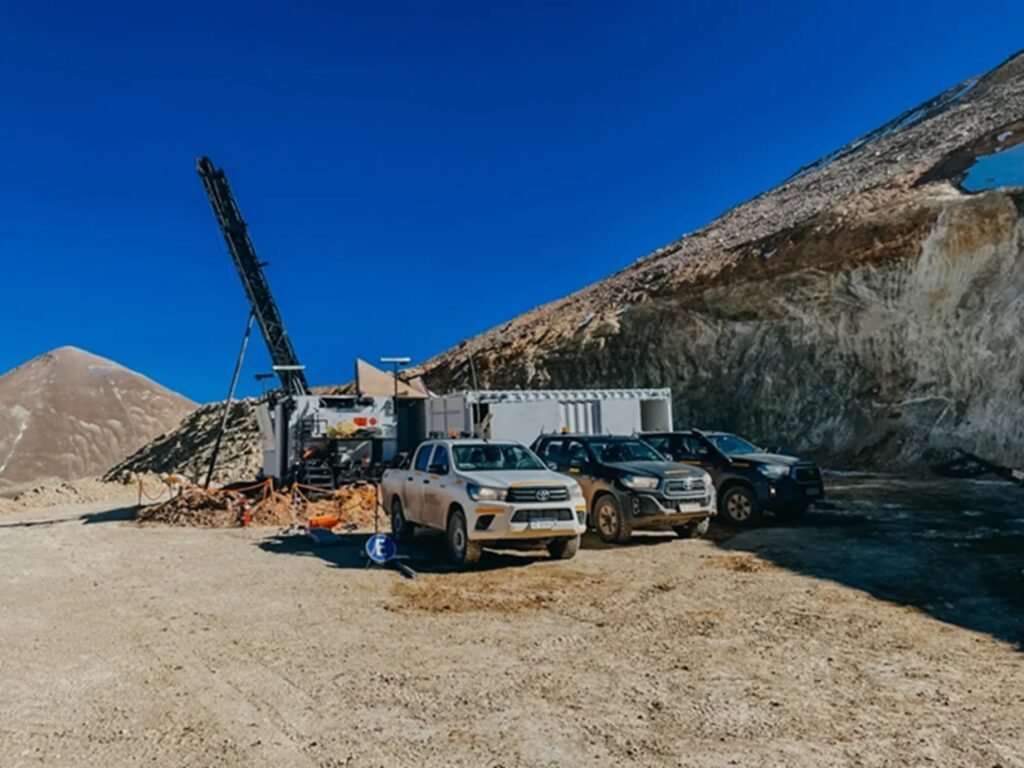 Proyecto Vicuña