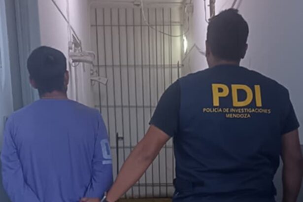Detuvieron a un sospechoso de femicidio en Mendoza