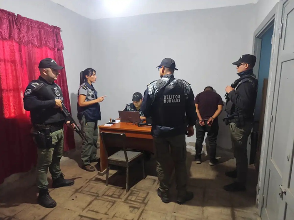 En solo un día secuestraron 260 kilos de cocaína en Tucumán
