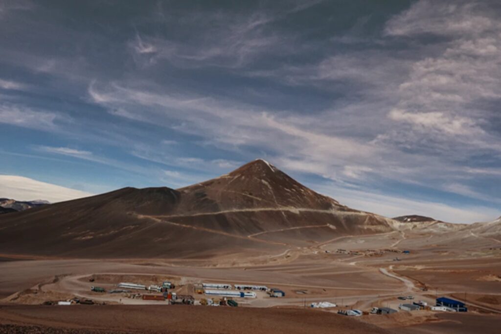 Proyecto Vicuña