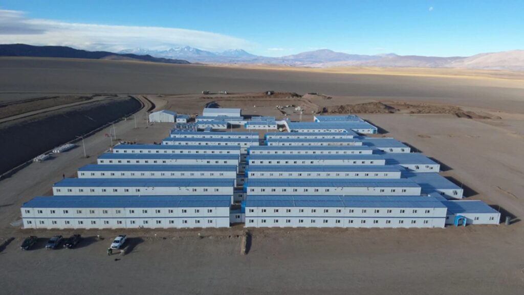 Proyecto Vicuña