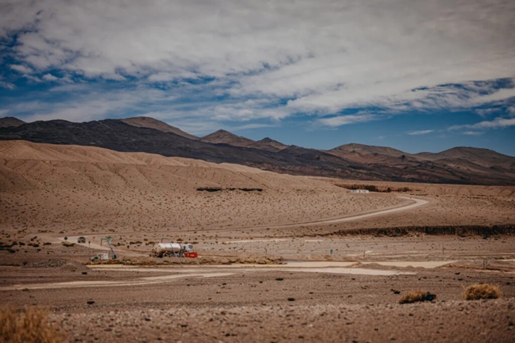 Proyecto Vicuña