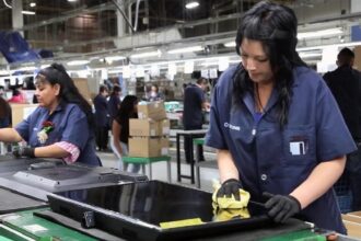 empleo