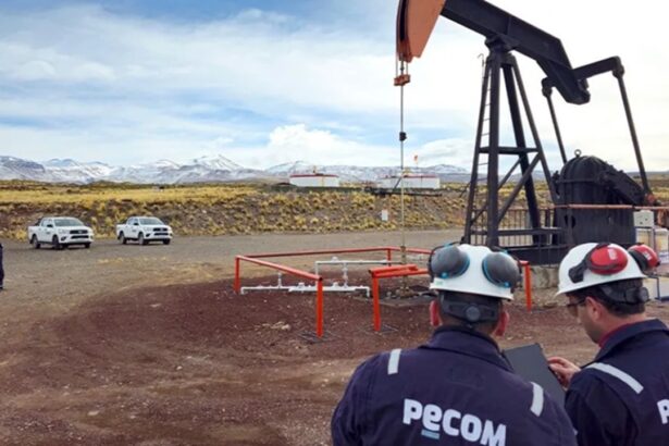 Pecom.
