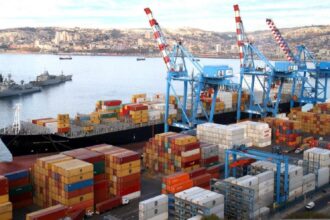 exportación