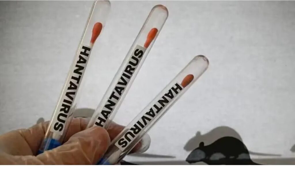 hantavirus