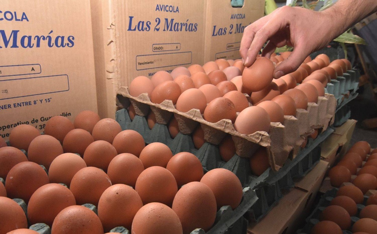 Maple de huevos