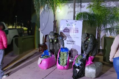 Detectaron 768 kilos de hojas de coca en un tour de compras