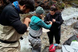 Un estudio del CONICET reveló que los incendios forestales alteran la calidad del agua en la Patagonia